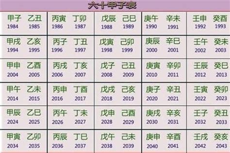 2023年属性